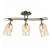 Спот Citilux Мерида CL142134