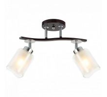 Спот Citilux Фортуна CL156122