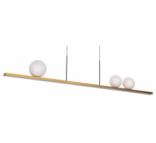 Подвесной светильник Citilux Glob CL209133