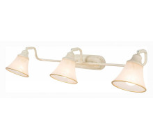 Спот Citilux Прованс CL511534