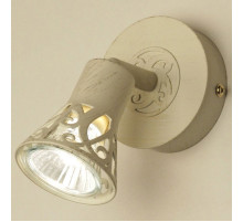 Спот Citilux Винон CL519515