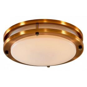 Накладной светильник Citilux Бостон CL709203N