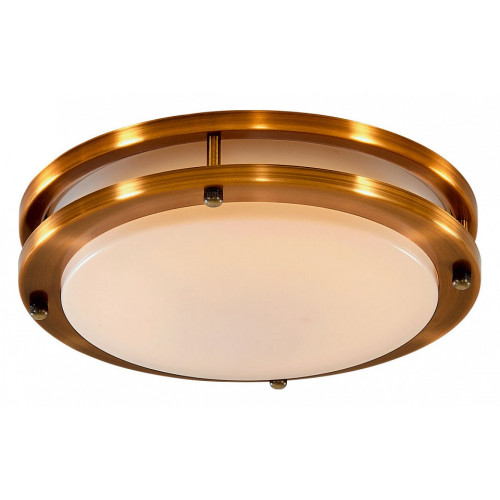 Накладной светильник Citilux Бостон CL709203N