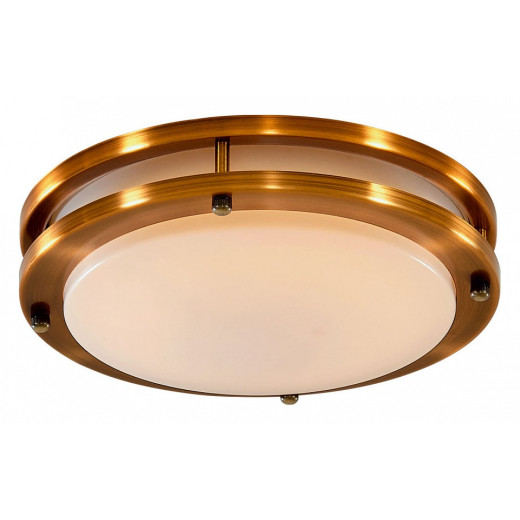 Накладной светильник Citilux Бостон CL709203N