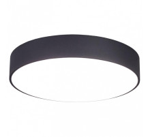 Накладной светильник Citilux Тао CL712242N