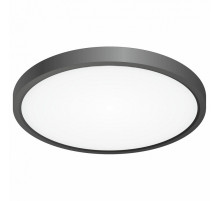 Накладной светильник Citilux Бейсик CL738241V