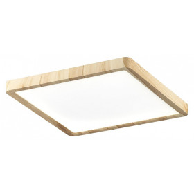 Накладной светильник Citilux Бейсик CL738K242V