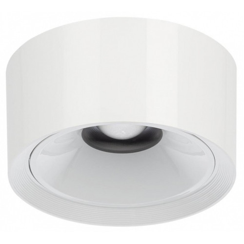 Накладной светильник Citilux Rover CL743060N
