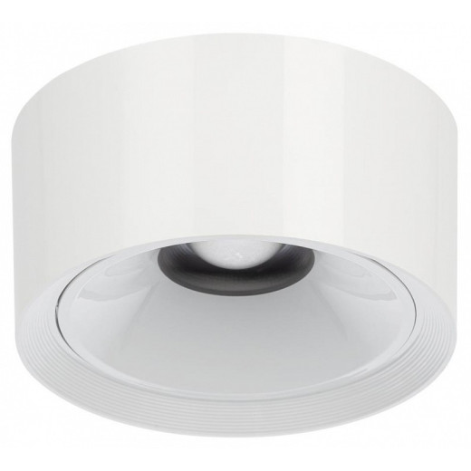 Накладной светильник Citilux Rover CL743060N