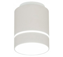 Накладной светильник Citilux Борн CL745010N