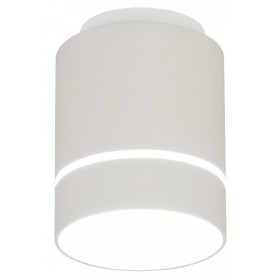 Накладной светильник Citilux Борн CL745010N