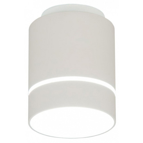 Накладной светильник Citilux Борн CL745010N