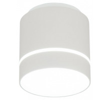 Накладной светильник Citilux Борн CL745020N