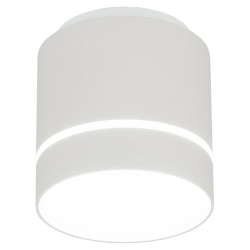 Накладной светильник Citilux Борн CL745020N