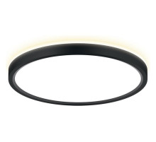 Накладной светильник Citilux NORMA CL748241