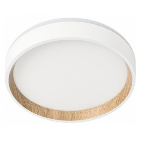 Накладной светильник Citilux Etalon CL750180