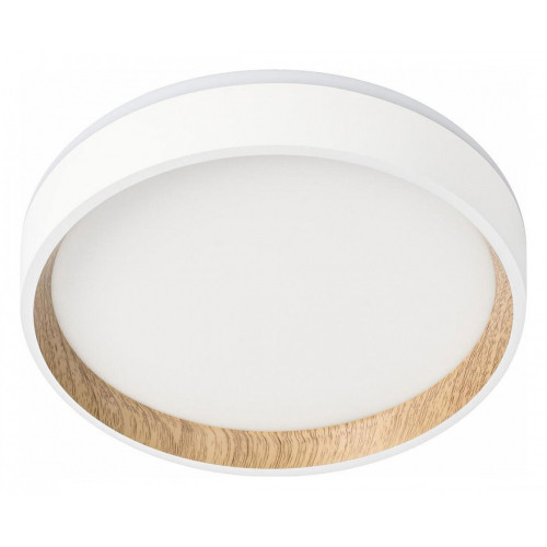 Накладной светильник Citilux Etalon CL750180