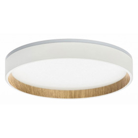 Накладной светильник Citilux Etalon CL750240