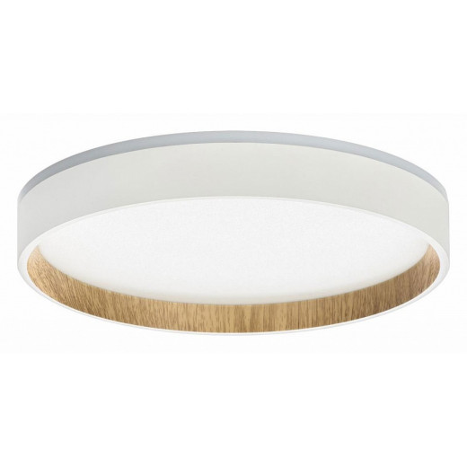 Накладной светильник Citilux Etalon CL750240