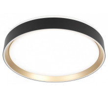 Накладной светильник Citilux BOSS CL751351G