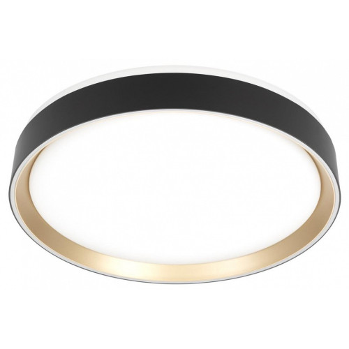 Накладной светильник Citilux BOSS CL751351G