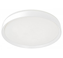 Накладной светильник Citilux BOSS CL751450G