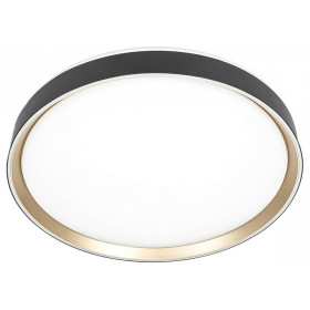 Накладной светильник Citilux BOSS CL751451G