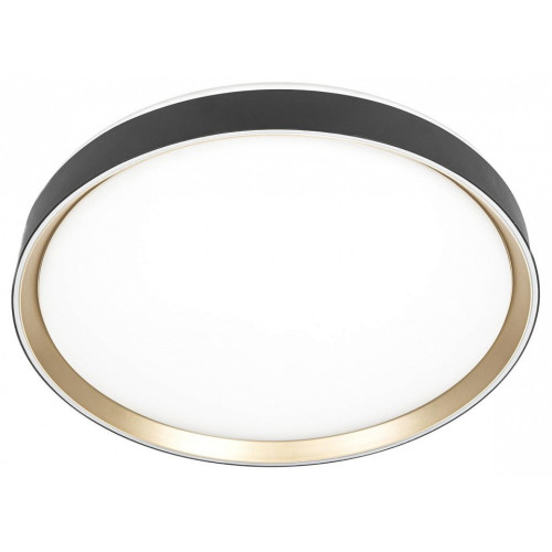 Накладной светильник Citilux BOSS CL751451G