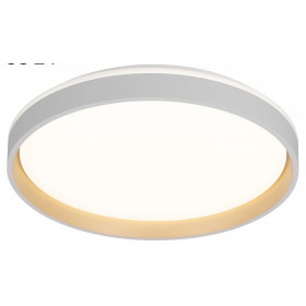 Накладной светильник Citilux ENZO CL753450G