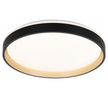 Накладной светильник Citilux ENZO CL753451G