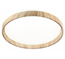 Накладной светильник Citilux ENZO CL753452G