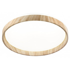 Накладной светильник Citilux ENZO CL753452G