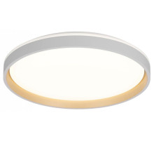 Накладной светильник Citilux ENZO CL753510G