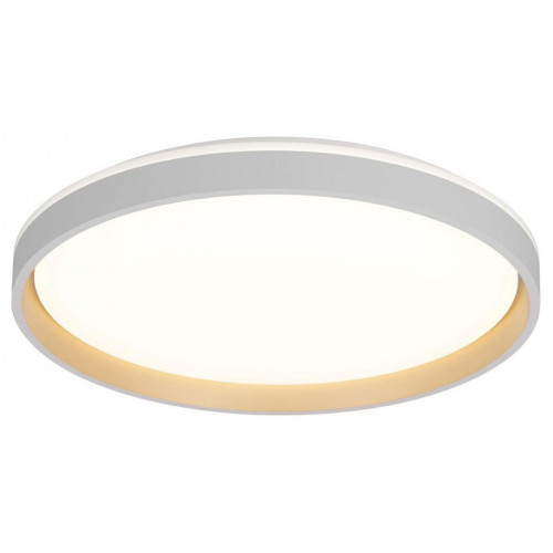 Накладной светильник Citilux ENZO CL753510G