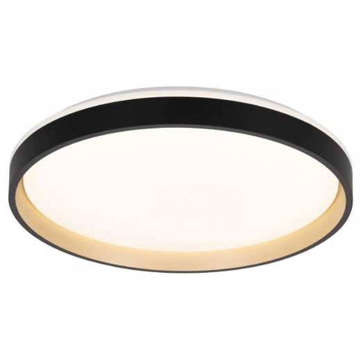 Накладной светильник Citilux ENZO CL753511G