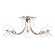 Потолочная люстра Doge Luce 6501 6501D6.40BA
