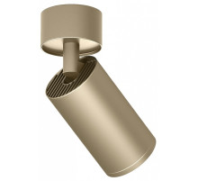 Спот Denkirs TUBE DK2029-GG