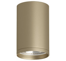 Накладной светильник Denkirs TUBE DK2050-SG