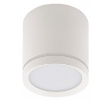 Накладной светильник Denkirs DK401 DK4013-WH