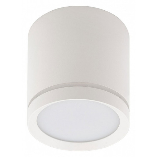 Накладной светильник Denkirs DK401 DK4013-WH