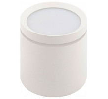 Накладной светильник Denkirs DK401 DK4016-WH