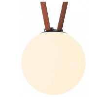 Накладной светильник Denkirs Belty Orb DK5555-BK