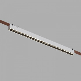 Накладной светильник Denkirs BELTY GRILL DK5572-WB