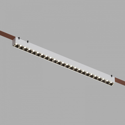 Накладной светильник Denkirs BELTY GRILL DK5572-WB