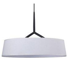 Подвесной светильник Divinare Alma 1029/06 SP-10