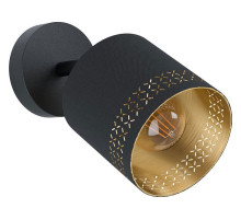 Спот Eglo ПРОМО Esteperra 99276