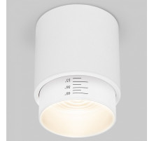 Накладной светильник Elektrostandard Cors a062385