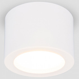 Накладной светильник Elektrostandard DLR026 a063935