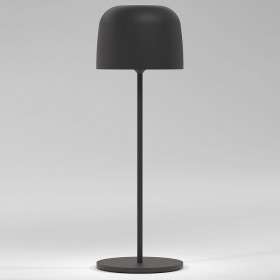 Настольная лампа декоративная Elektrostandard Bitty a069002