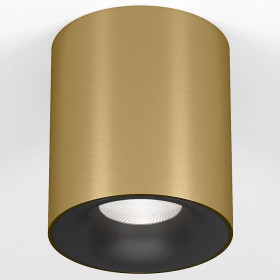 Накладной светильник Elektrostandard Primo 25116/LED